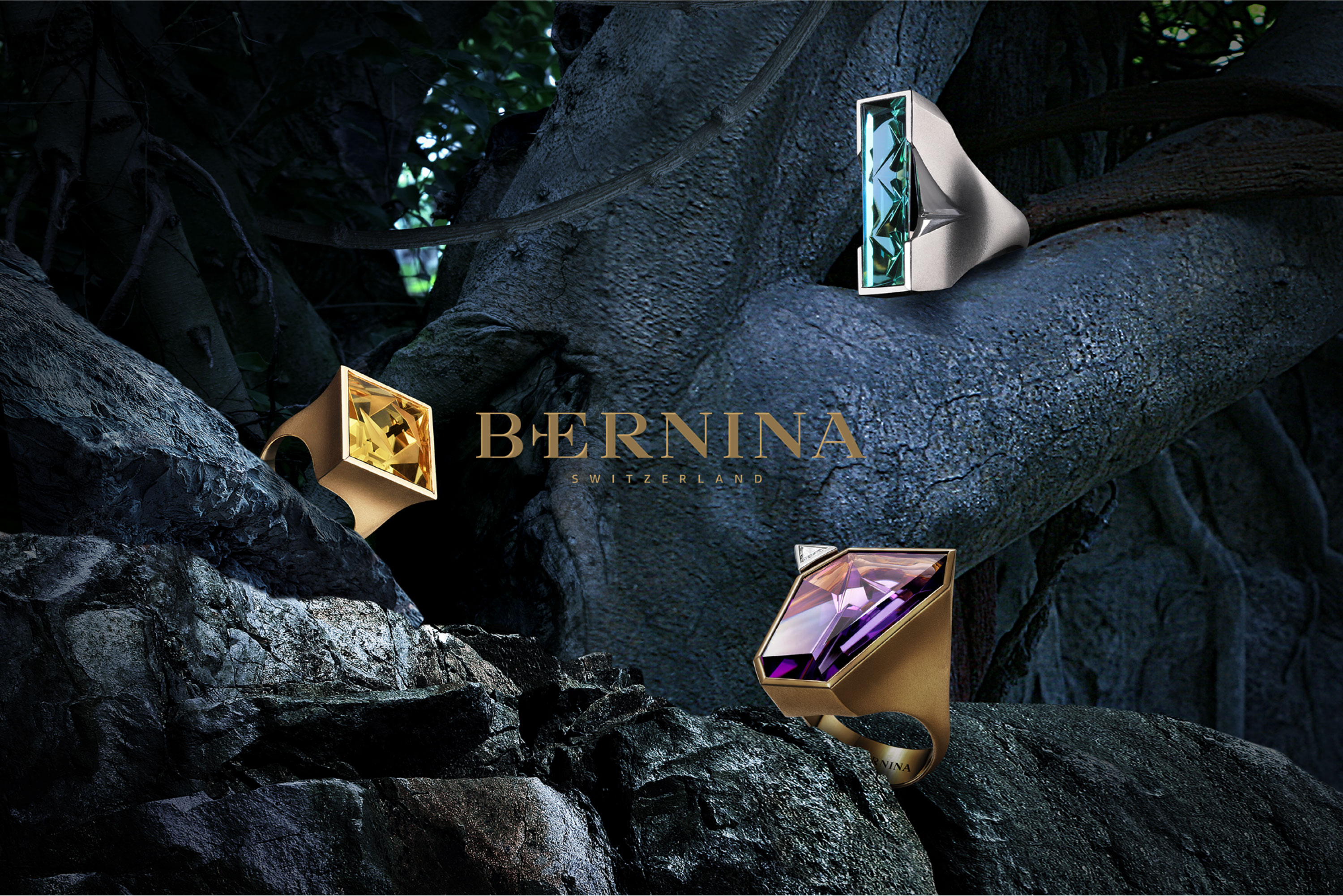 bernina鱦